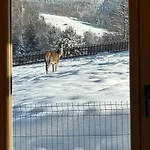 Dom wakacyjny Babiogórskie Klimaty Zawoja